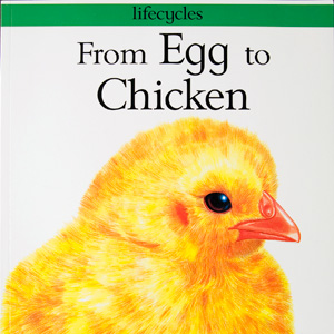 Legg, G.  (1998) emFrom Egg to Chicken/em. Danbury, CT: Franklin Watts.