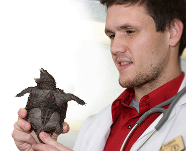 student holding turtle