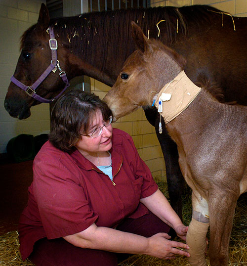 Dr. Janice Kritchevsky