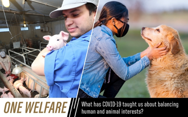 ONE WELFARE: What has COVID-19 taught usa bout balacing human and animal interests?