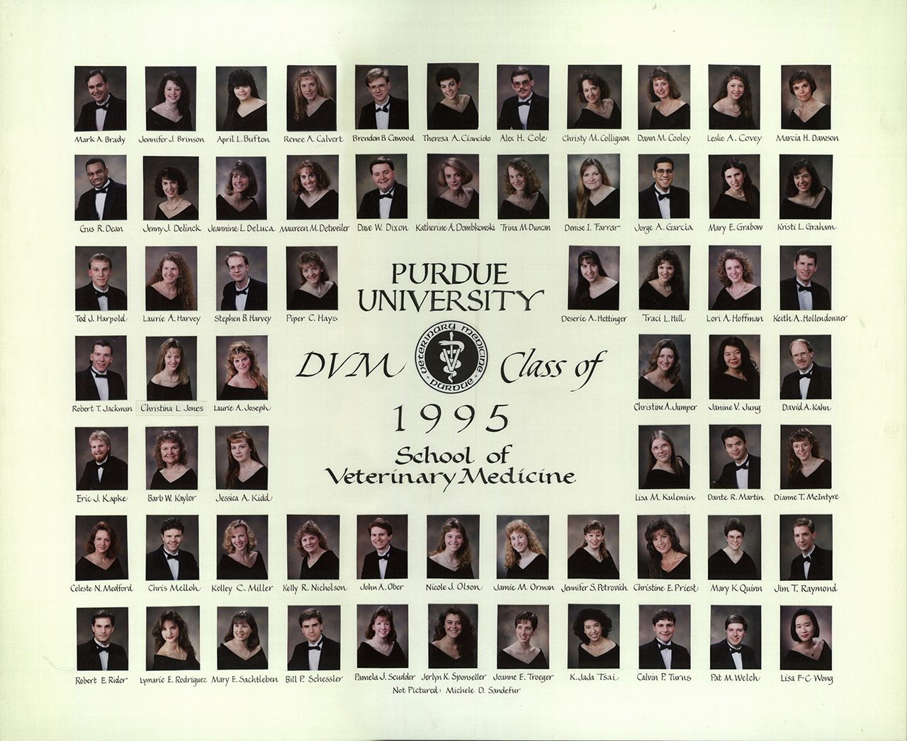 Class of 1995 Photo