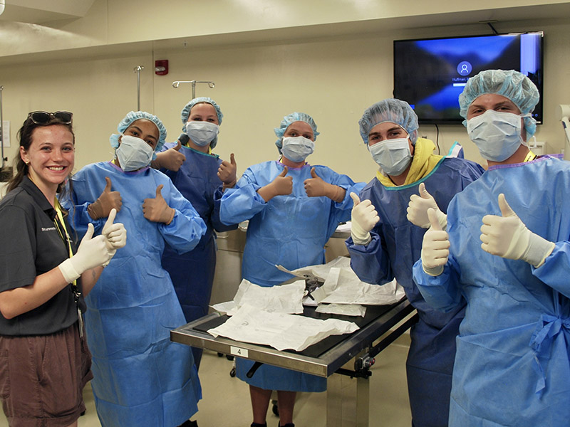 Boiler Vet Camp College of Veterinary Medicine blue blaze