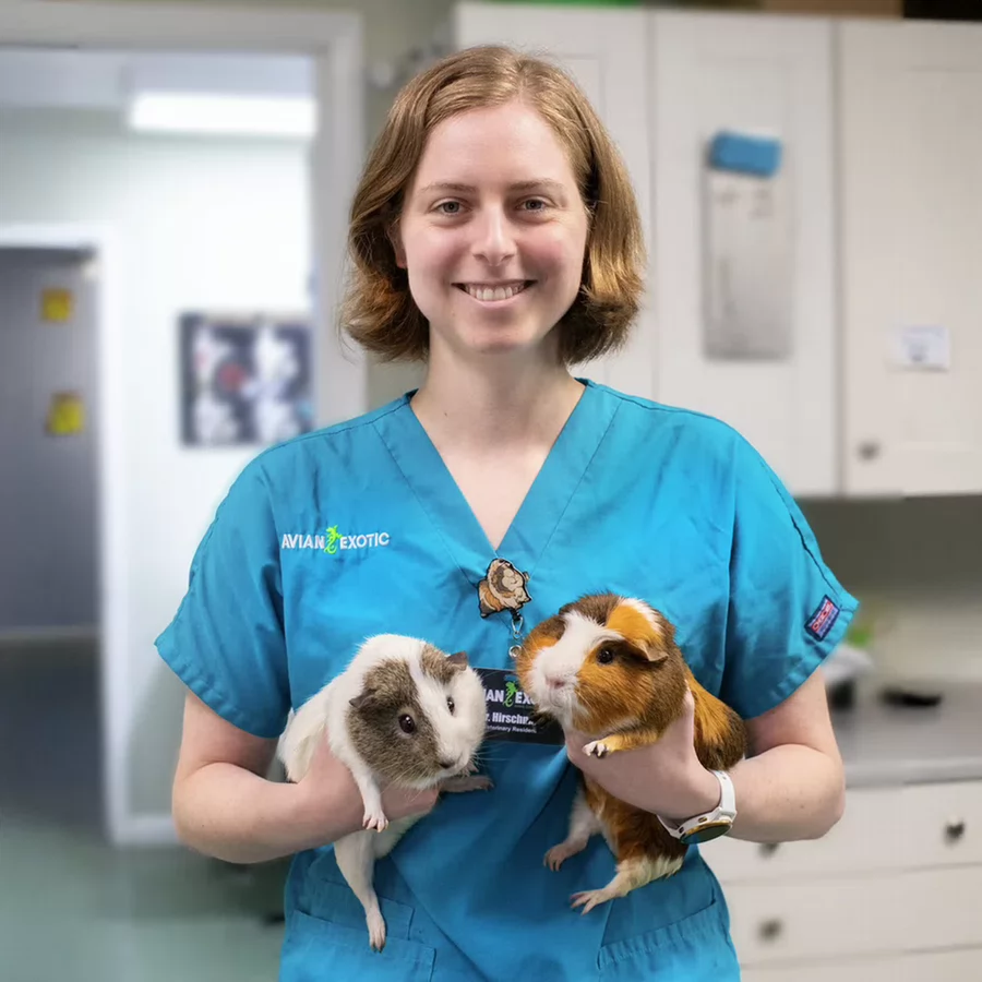 Dr. Amanda Hirschman