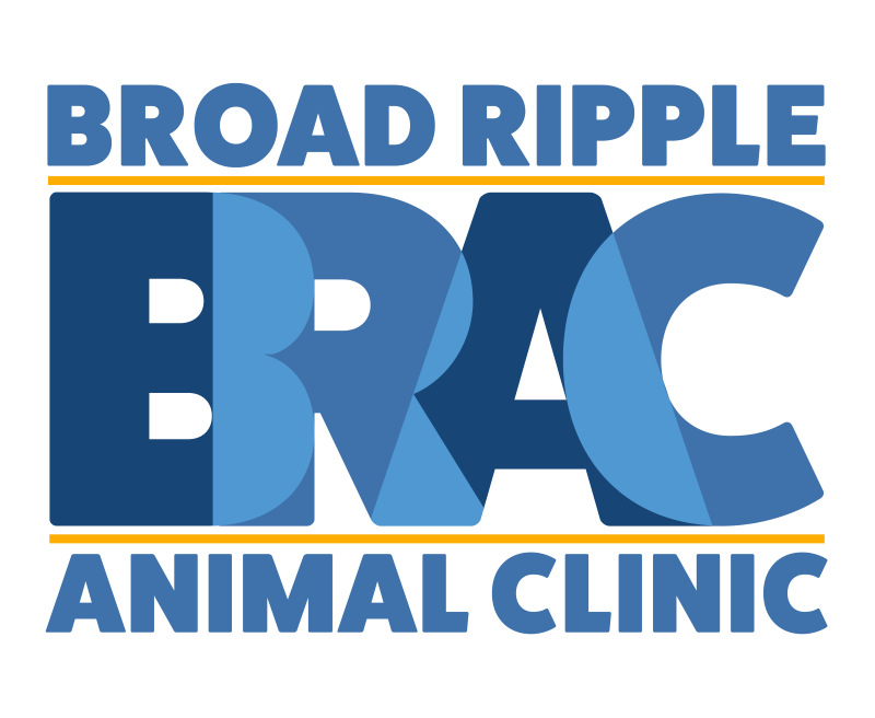 Broad Ripple Animal Clinic