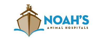 Noah's Animal Hospitals