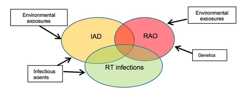 Venn Diagram of IAD, RAO, and RT infections