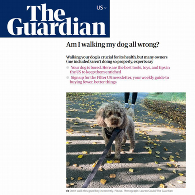 a dog on a leash