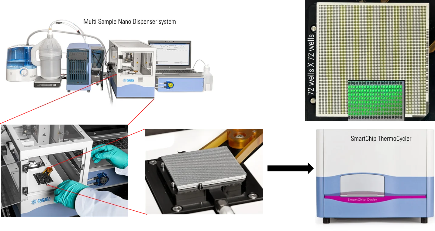 custom designed project-specific PCR primers and probes tailored for high-throughput qPCR studies