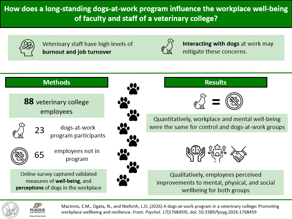 Infographic showing a study of a dogs-at-work program: 88 employees surveyed (23 with dogs, 65 without), with results indicating similar measured well-being across groups but perceived mental, physical, and social benefits from interacting with dogs.