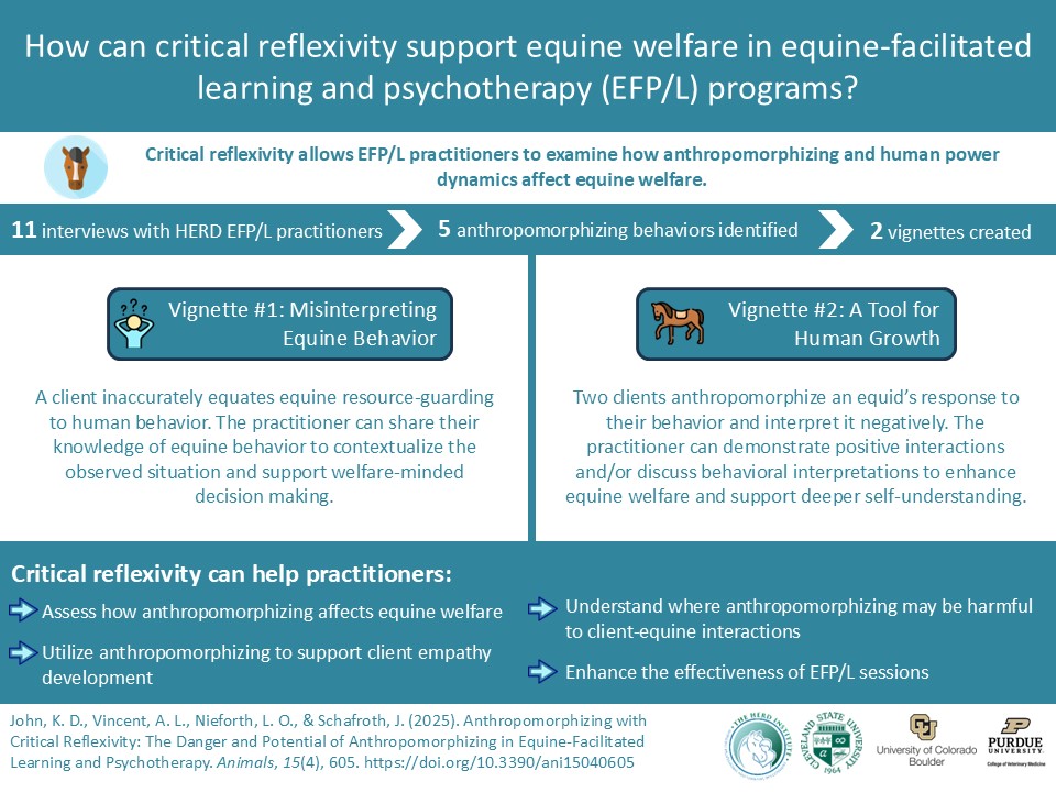 EquineWelfare