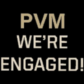 We’re Engaged! Podcast (2025) - Episode 7 – Healing with Horses