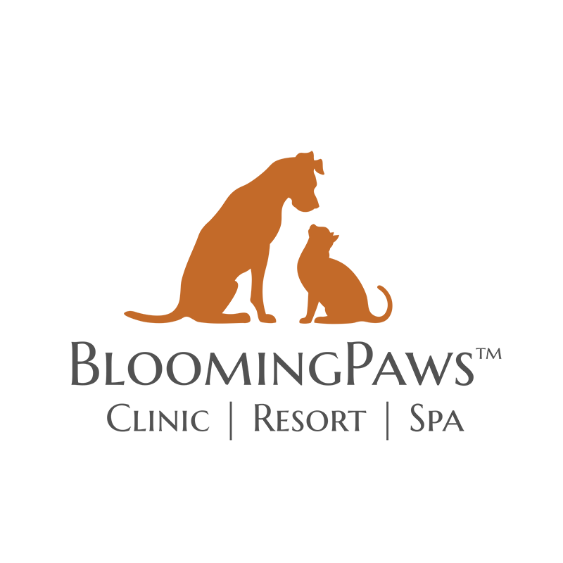Blooming Paws Clinic, spa, and resort