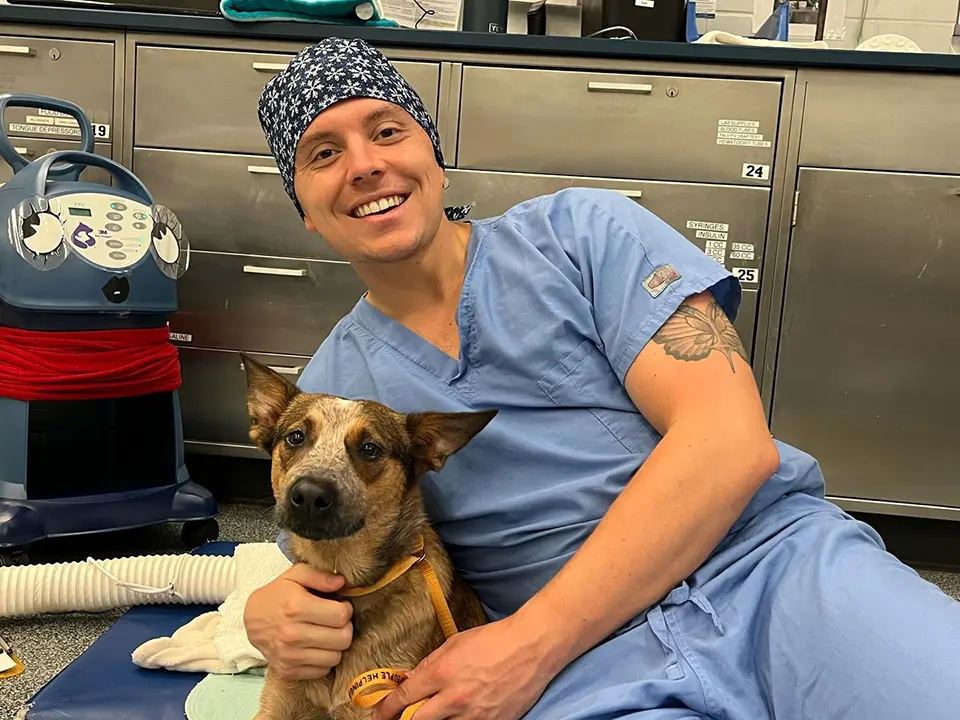 A veterinary professional in surgical scrubs sits beside a dog in a clinical treatment area