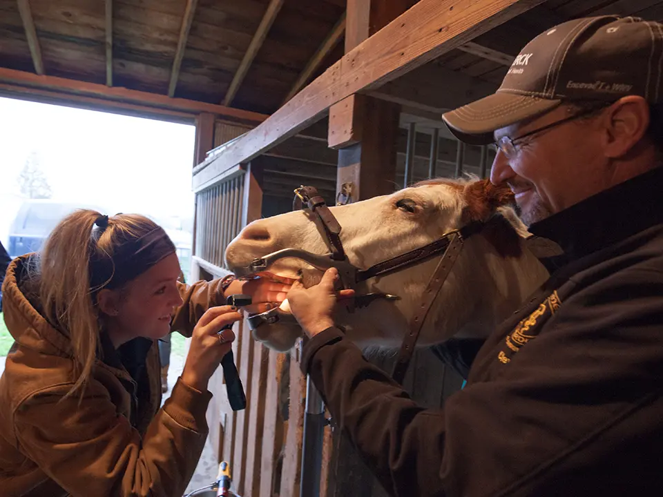 Two veterinary professionals examine a horse’s mouth inside a barn
