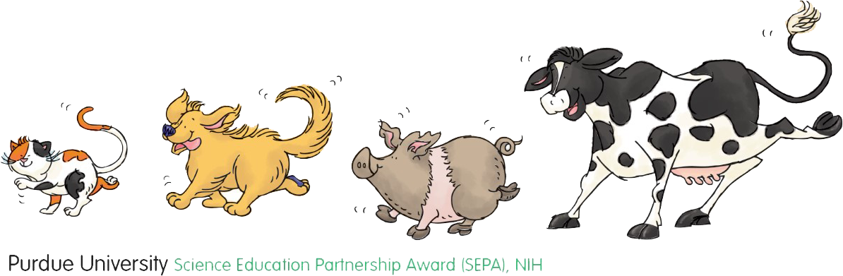 Purdue University Science Education Partnership Award (SEPA), NIH