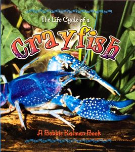 Kalman B.  and Sjonger R. (2007). emThe Lifecycle of a Crayfish/em. New York,  NY: Crabtree Publishing Company.