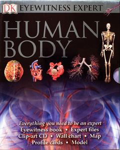 Walker, R. (2009) Eyewitness Human Body. New York, NY: DK Publishing.