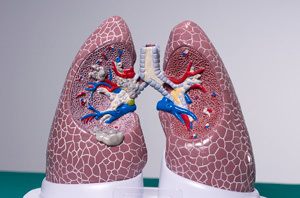 COPD Lung Set with Pathologies