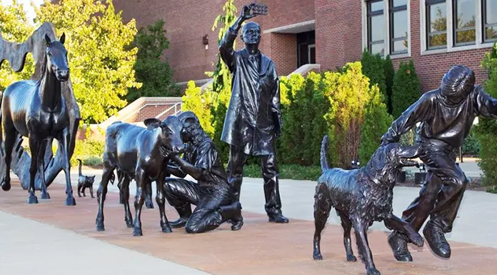 Learn more about the <span style="color: #ddb945;">Purdue Veterinary Conference</span> on <span style="color: #ddb945;">September 23-26</span>
