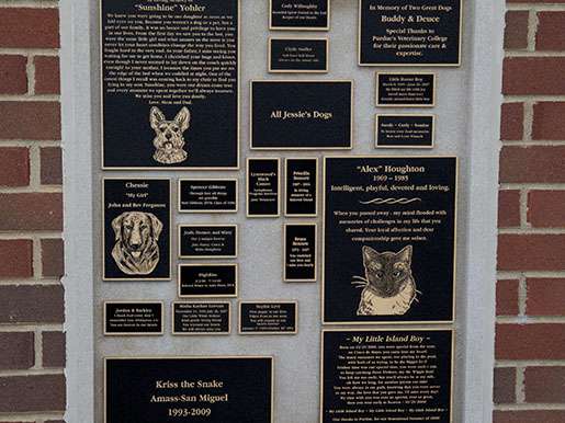 a section of the tribute wall highlighting pets