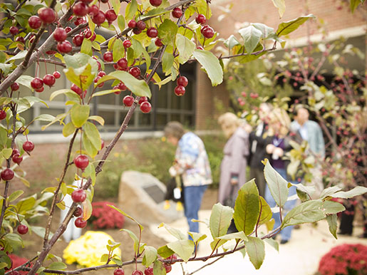people reading the plaques in the garden