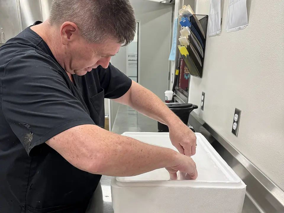 A man in black scrubs reaches into a white insulated cooler in a clinical workspace.