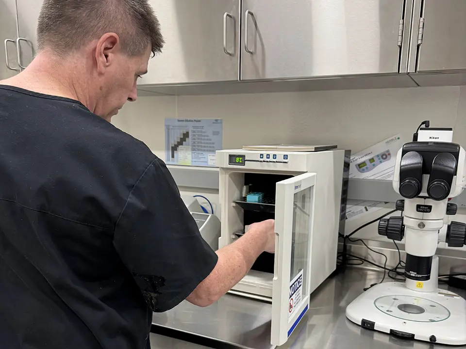 Person in black scrubs reaches into an open laboratory warming cabinet beside a microscope.