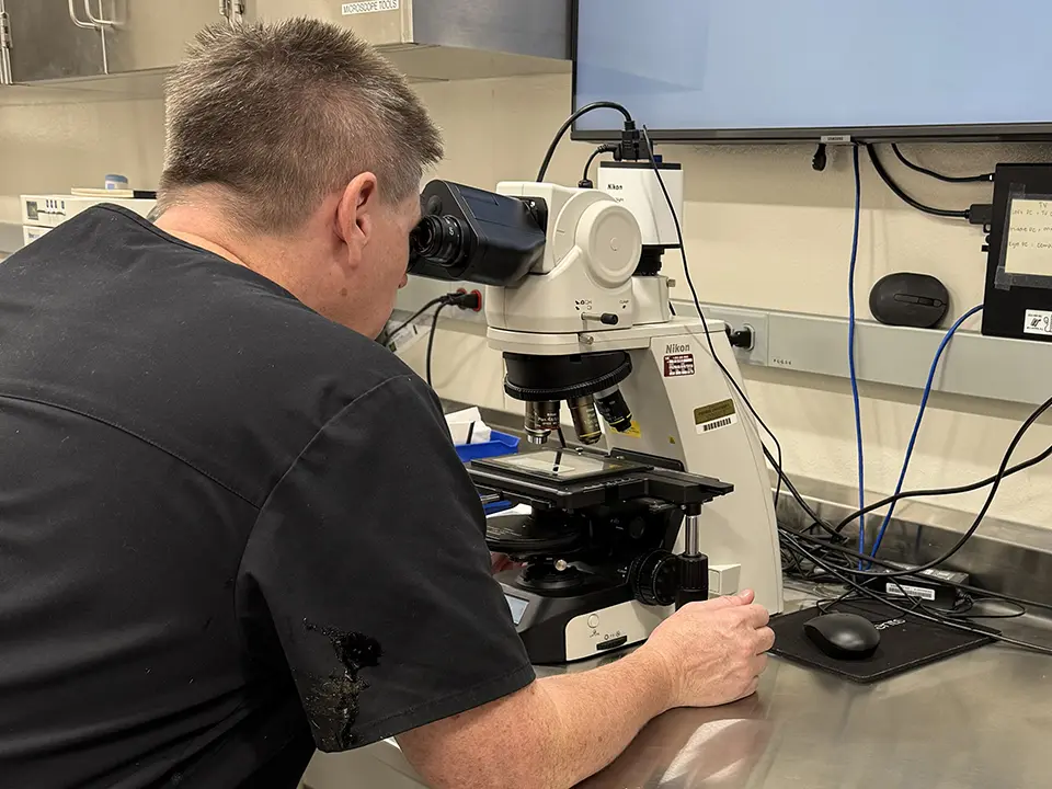Person using a Nikon microscope in a laboratory.