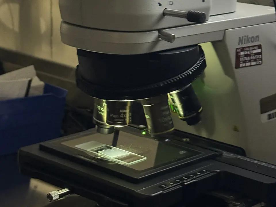 Close-up of a Nikon microscope with objective lenses positioned over a glass slide.