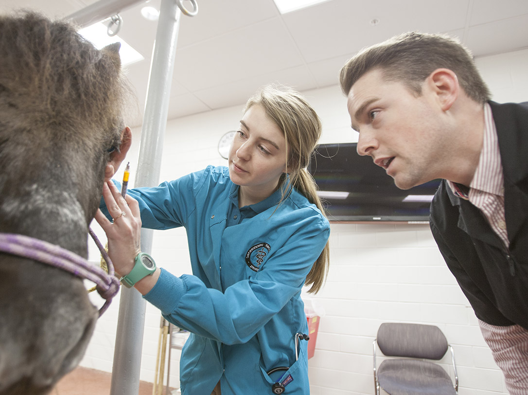 Ophthalmology College of Veterinary Medicine Purdue University