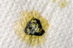 normal bird droppings