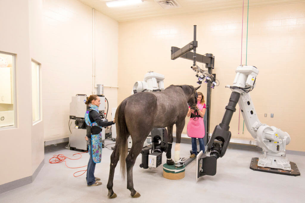 There are only four standing CT machines for horses in the country, and one of them is located at Centaur Equine Specialty Hospital.