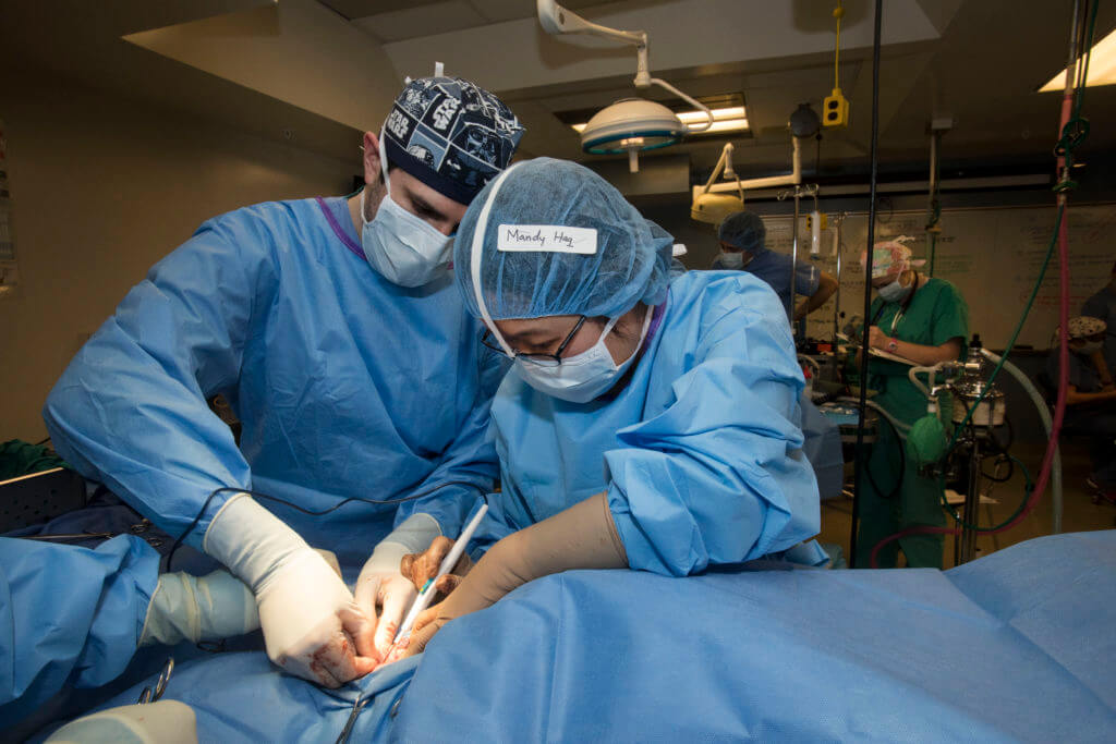 urdue veterinary student Mandy Haq, of the DVM Class of 2019, uses an electrosurgical unit recently donated by Logansport Memorial Hospital, as she is helped by Dr. Kenneth Brand, a surgery resident, during the Junior Surgery Lab.