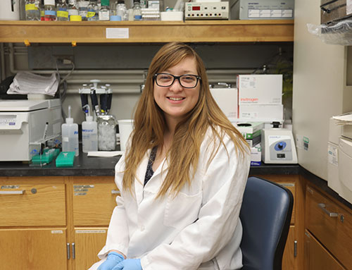 Comparative pathobiology graduate student Odalys Torres-Luquis works in the Lynn Hall laboratory of Dr. Sulma Mohammad, PVM associate professor of cancer biology