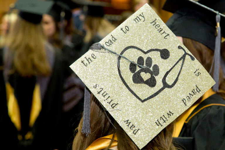 PVM Changes Veterinary Technology Degree Names to Veterinary Nursing