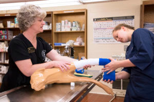 Clinical Skills Lab pictured