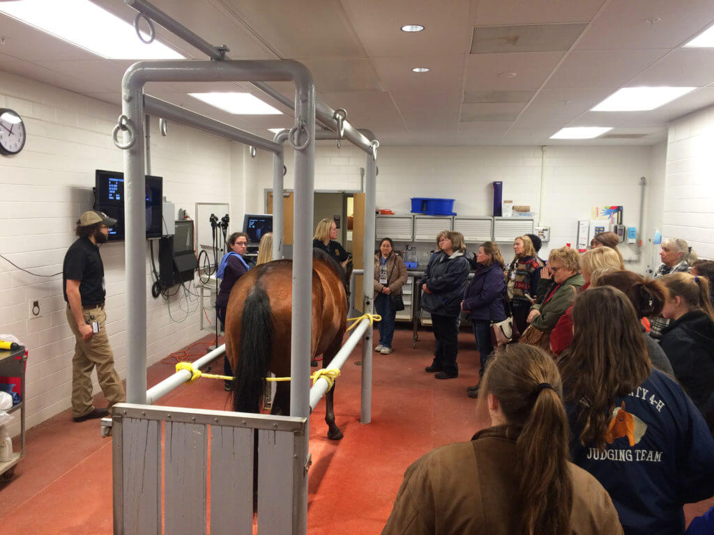 Dr. Sandy Taylor demo at the Horseman's Forum