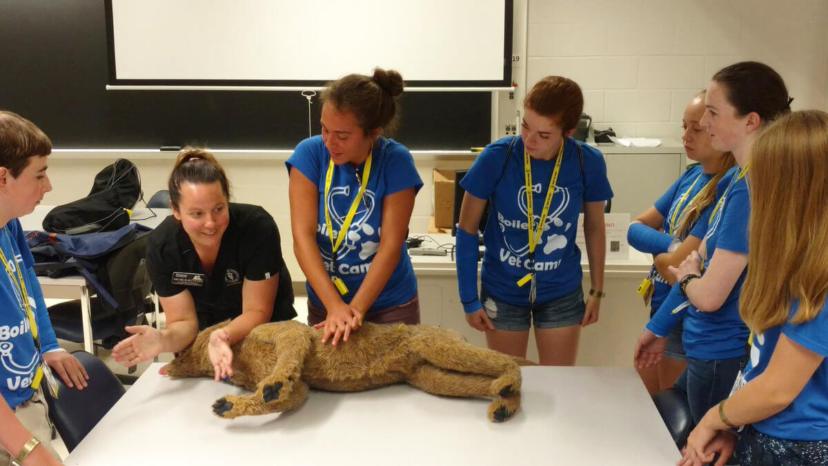 Senior campers pictured practicing CPR skills