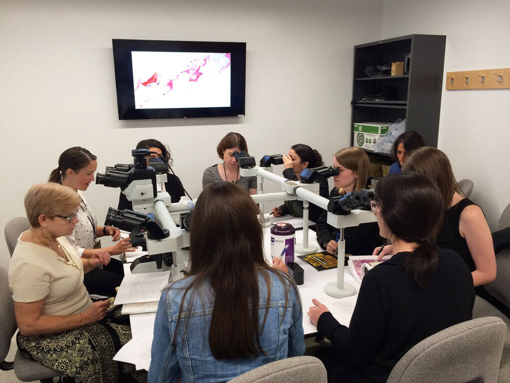 Dr. Raskin pictured leading hands-on session during Bone Marrow Workshop