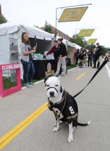 Carmella the dog pictured at PVM Homecoming booth