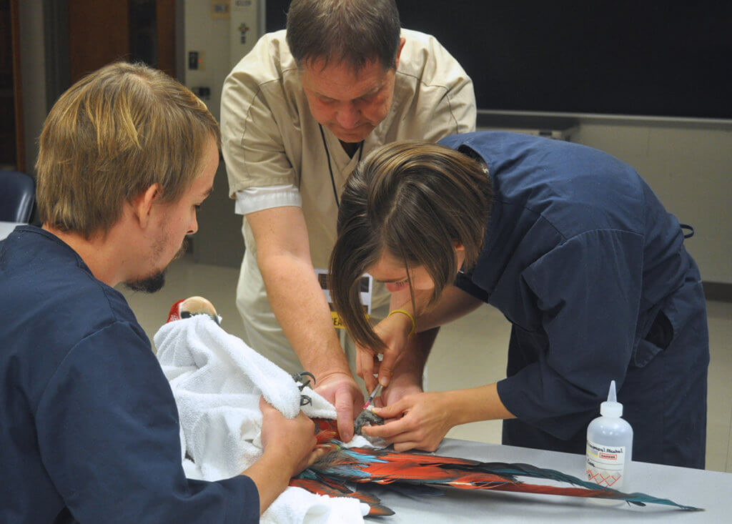 Dr. Thompson pictured with students in Avian Handling and Radiology Lab