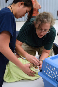 Dr. Julia Becker pictured