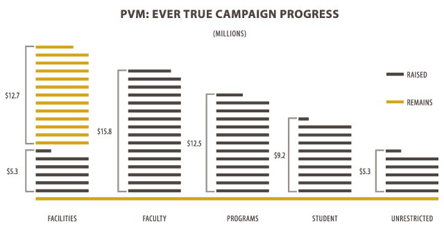 PVM Ever True campaign progress