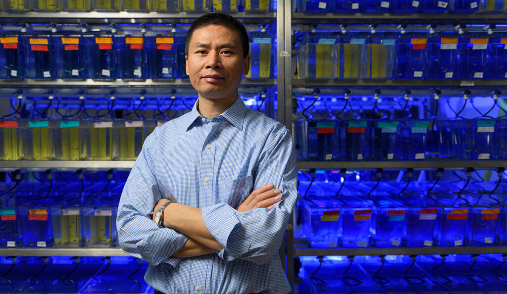 Dr. GuangJun Zhang pictured in his lab