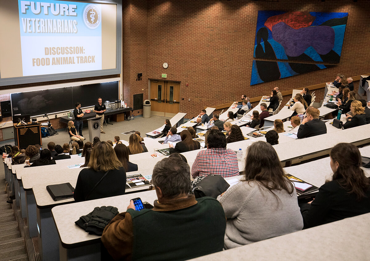 DVM Class of 2024 Interviews Commence Next Week | Purdue University