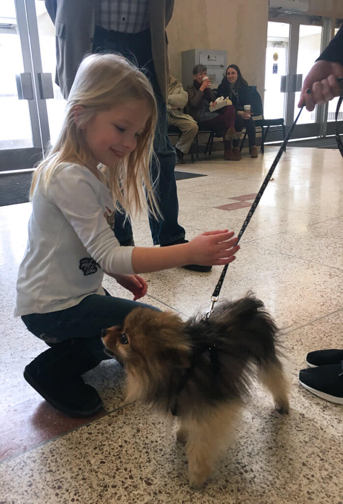 A little girl pets Teddy the Pomeranian