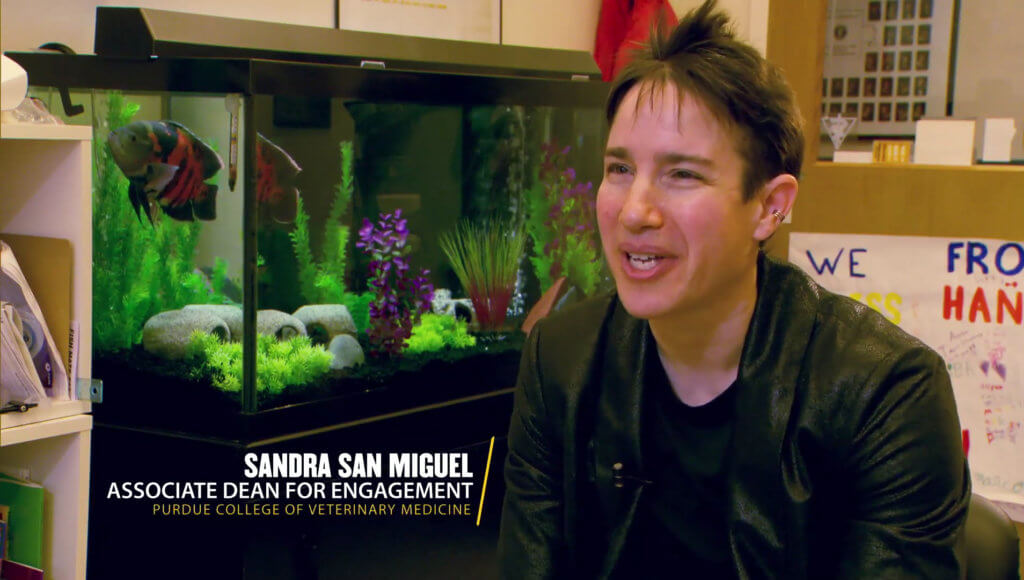 Sandy San Miguel interviewed in Footprints video