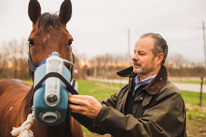 Dr. Couetil attaches an equine nebulizer to a horse