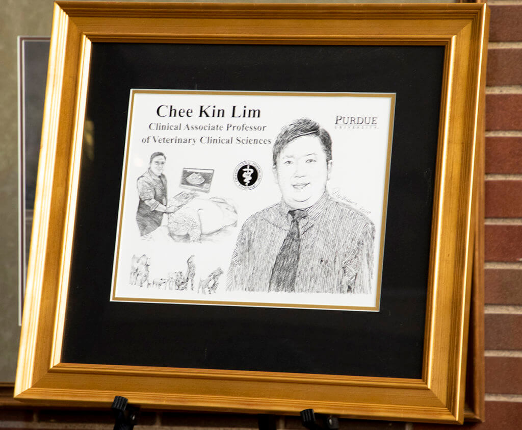 Dr. Lim's hand-drawn illustration by David Williams is pictured in its frame