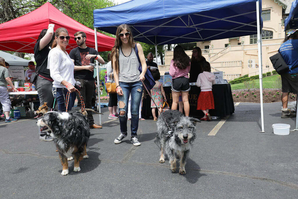 Event attendees stand with their dogs in front of sponsor tents